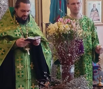 13.04.2025 г. Неделя ваий (цветоносная, Вербное воскресенье). Вход Господень в Иерусалим.