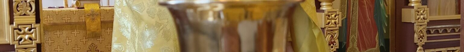 22.11.2025г. Мчч. Онисифора и Порфирия. Прп.Матроны. 